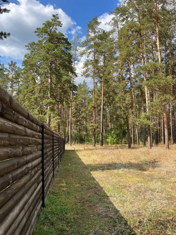 Отдых в Бузулукском бору круглый год с выходом в лес.
