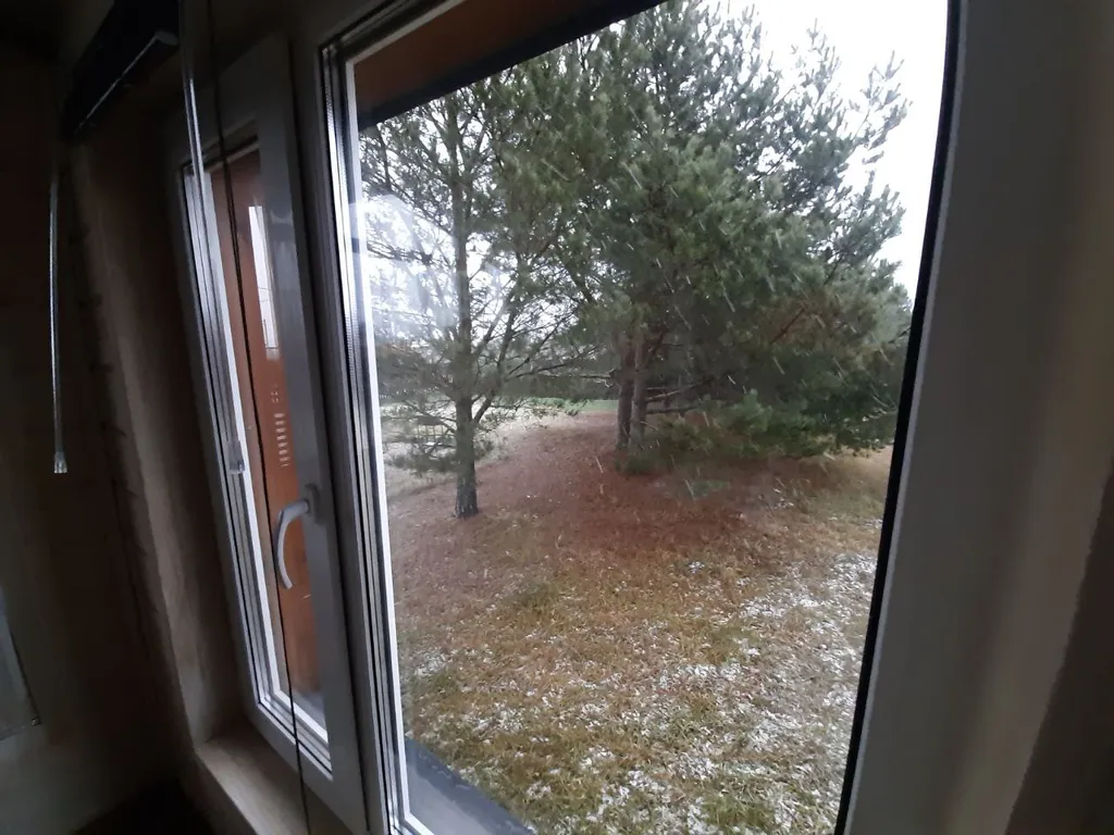 Дом в  соснах.