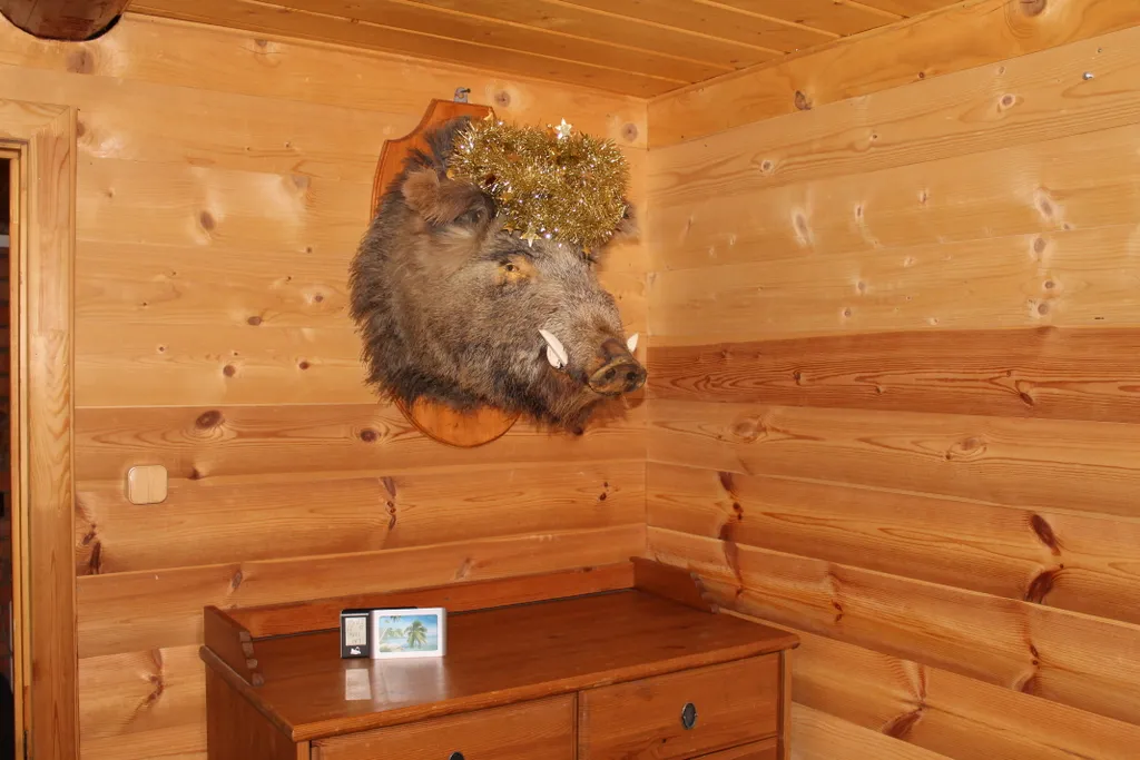 Уютный дом с баней и бильярдом вблизи наукограда Дубна