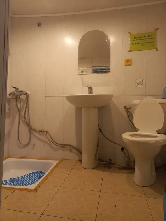 Буревестник