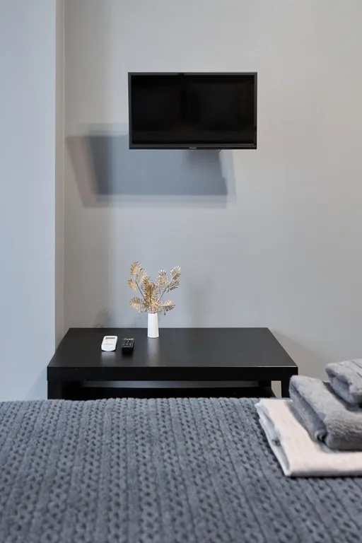 Уютная однокомнатная квартира в центре города