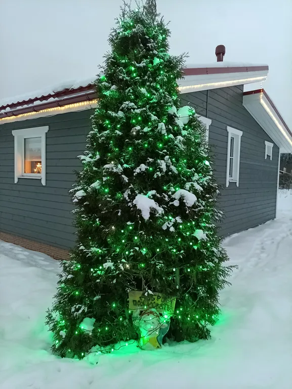 Карельский скандидомик с сауной