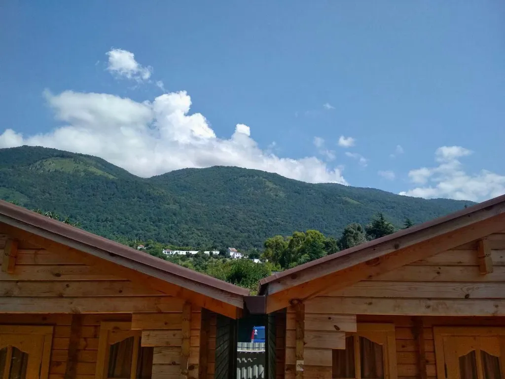 Коттедж 1-комнатный Дом — Гагра