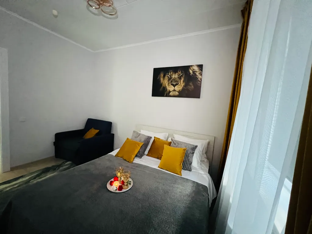 Квартира Квартира Уютная однушка — Светлогорск