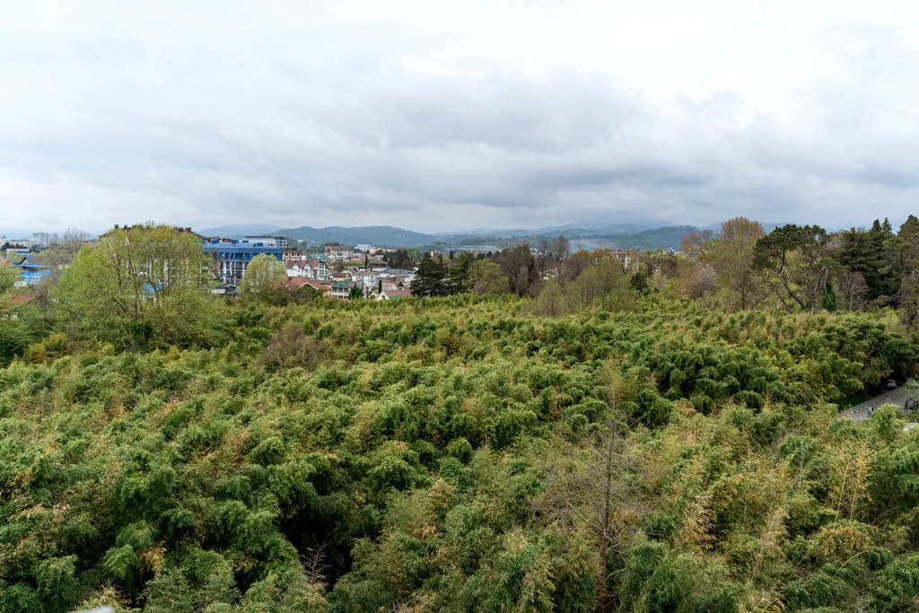 Квартира Новая квартира у моря с видом на горы — Сириус