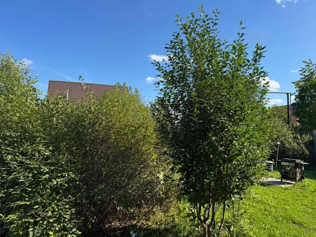 Ваш дом вдали от дома, оазис тишины в городе