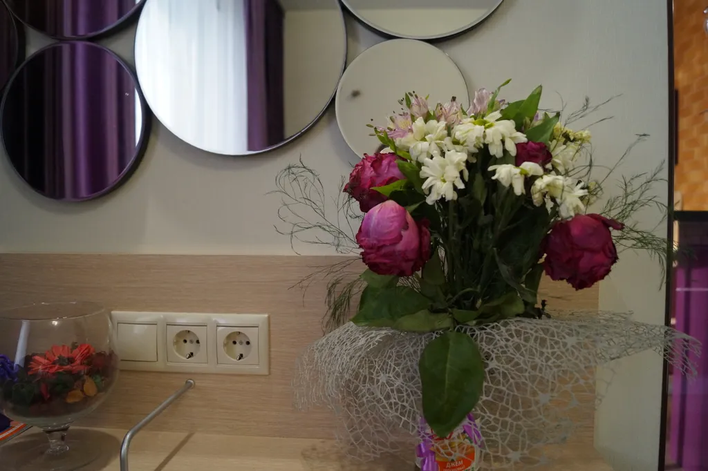 Студия с барной стойкой