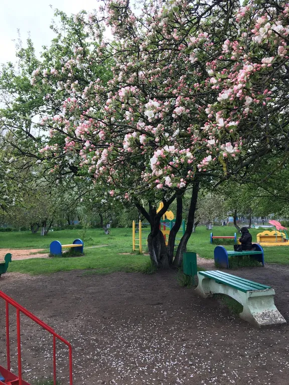 Апартамент с видом на яблоневый сад