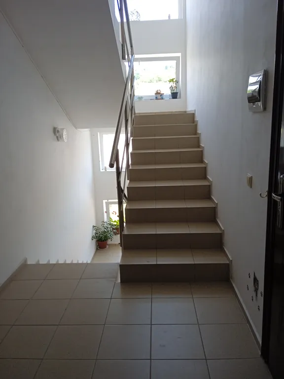 Уютная квартира с видом на лес