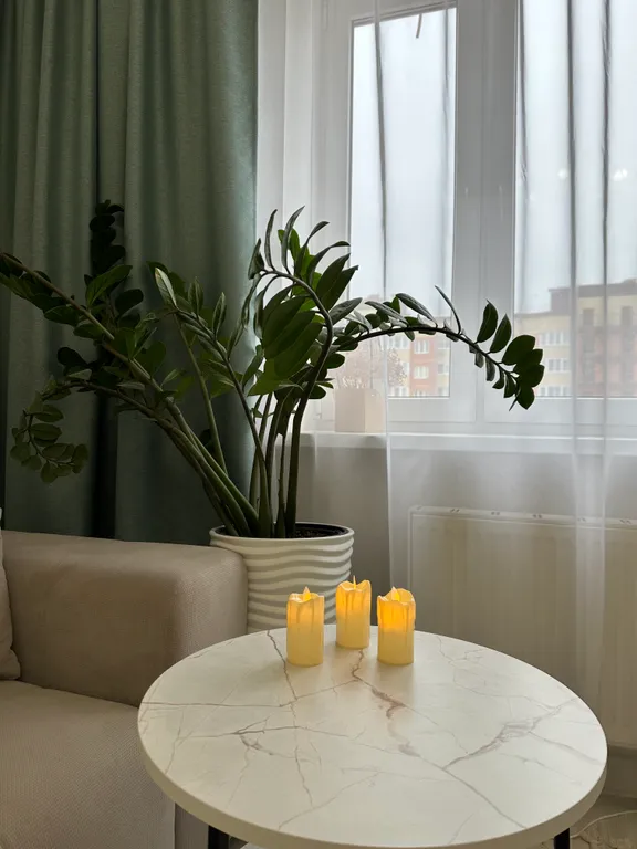 Большая квартира у парка