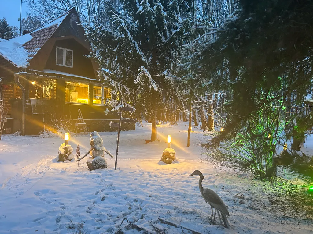 Коттедж Дом в окружении леса с камином, баня с купелью, зона барбекю — Троице-Лобаново