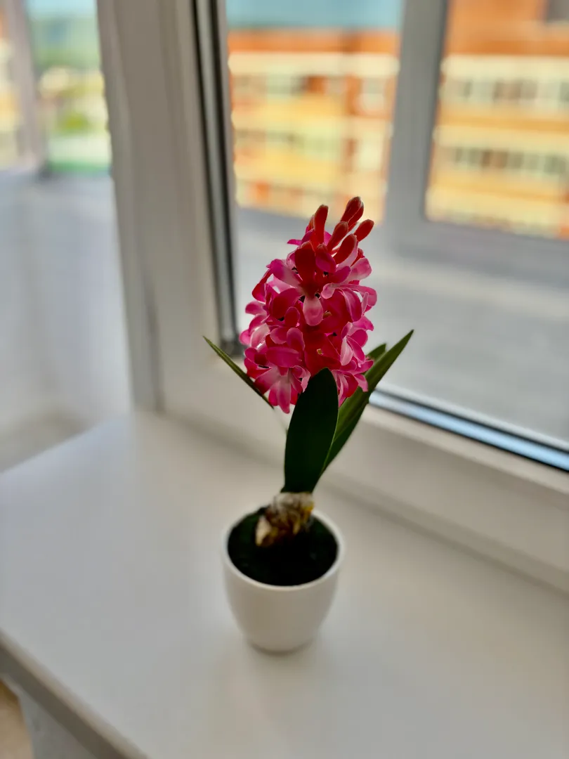 Фото