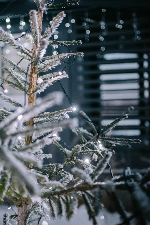 Дом с видом на закат, поле и лес