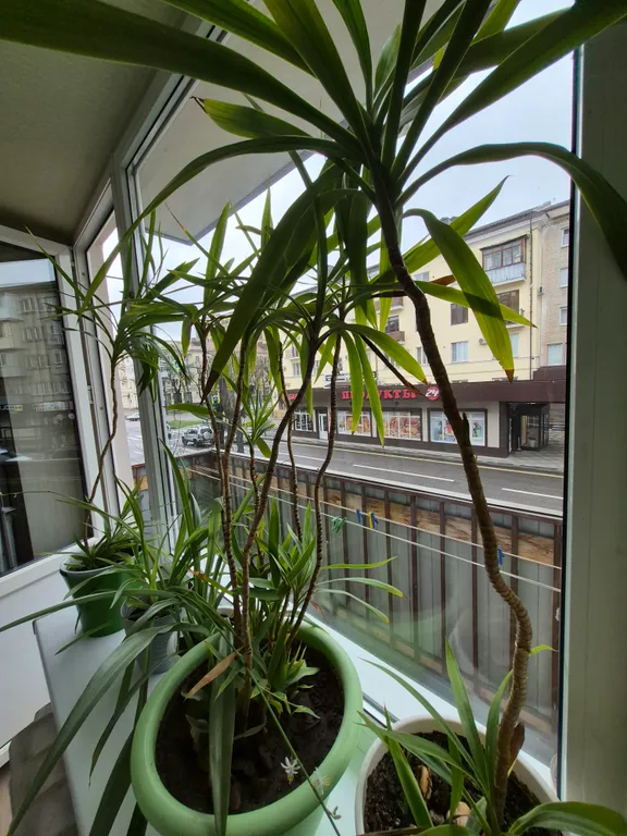 Квартира в центре