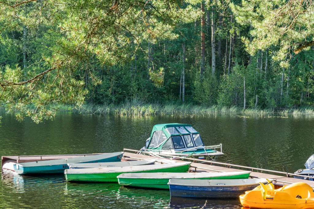 Дом с видом на лес