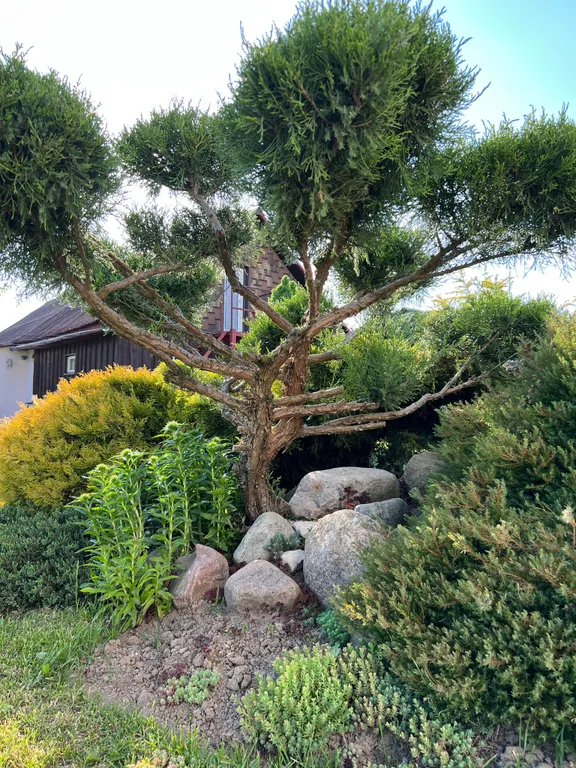 Усадьба У Захара Силичи Логойск