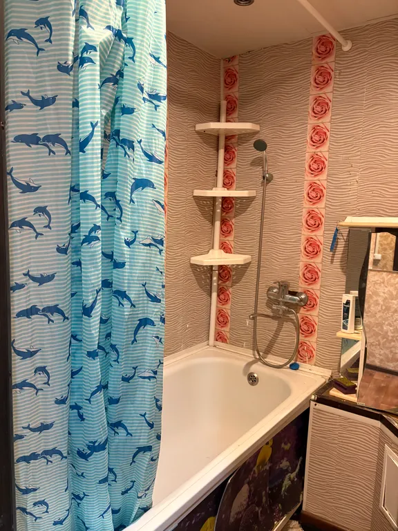 Комфортная однокомнатная квартира