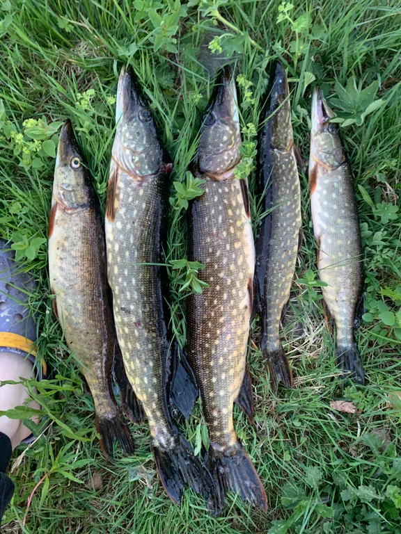 Уютный дом на берегу озера