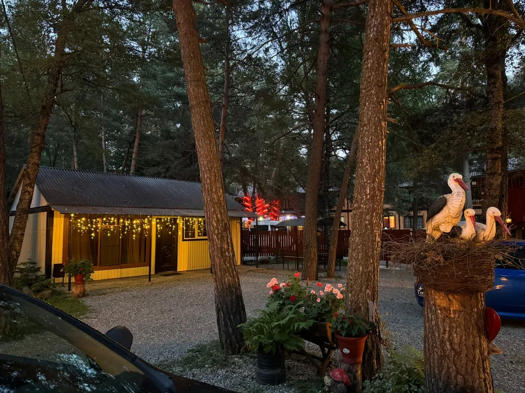 Коттедж 3-комнатный Дом — Архыз