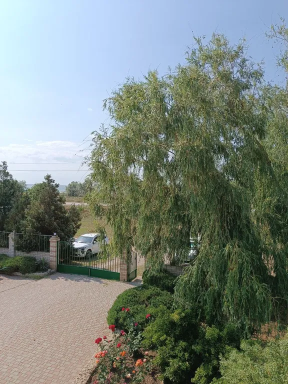 Квартира Квартира Комфорт двухместный — Новоотрадное