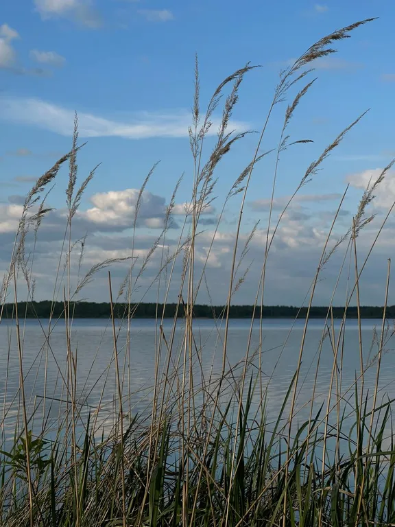 Дом у Белого озера