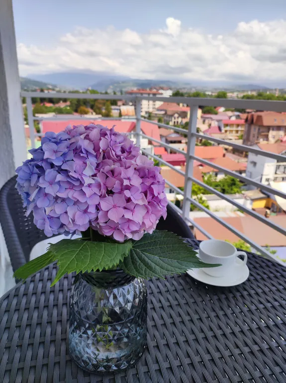 Квартира люкс у моря с видом на горы