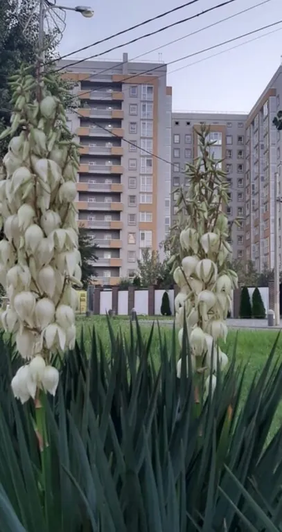 Квартира Квартира Море в окне — Анапа