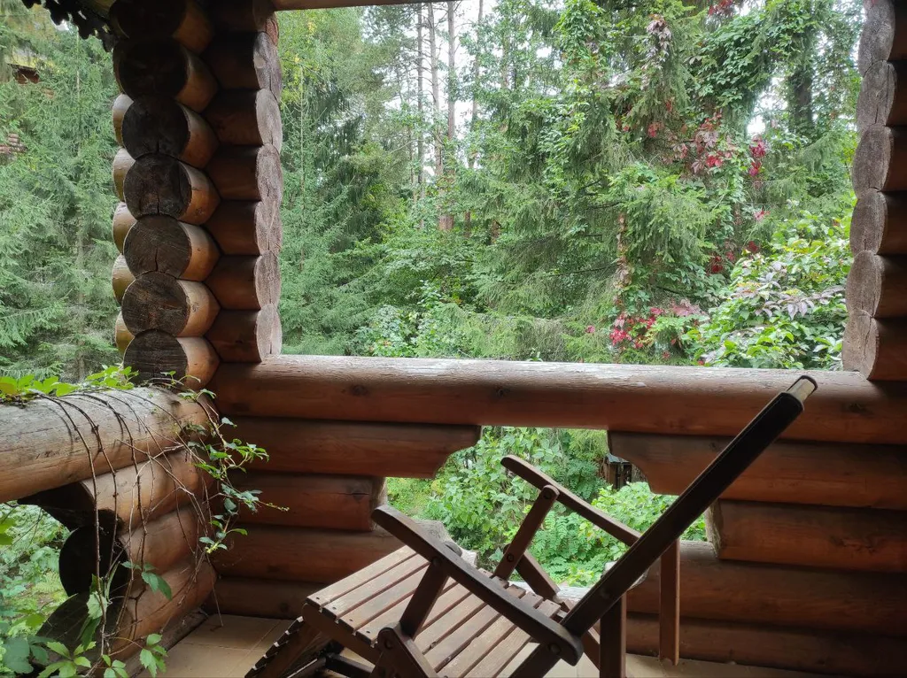 Коттедж Дом с тропическим бассейном, сауной и каминами — Московский