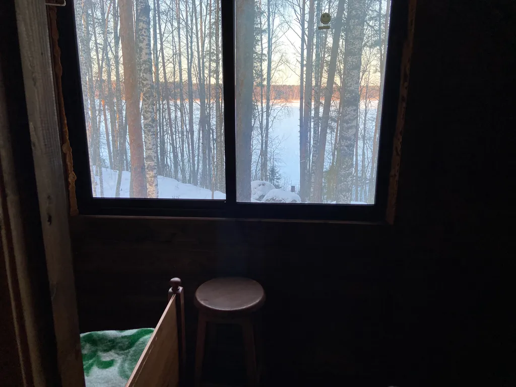 Хижина в лесу на берегу озера без соседей