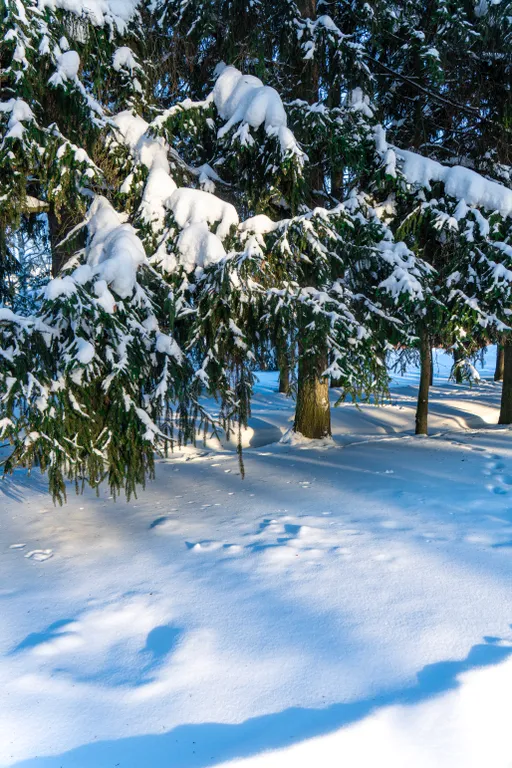 Уютная студия в тихой деревне