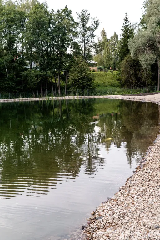 Уютный дом с сауной в лесу