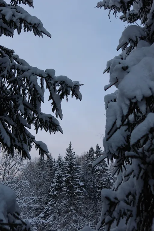 Коттедж 2-комнатный Дом — Шаховская