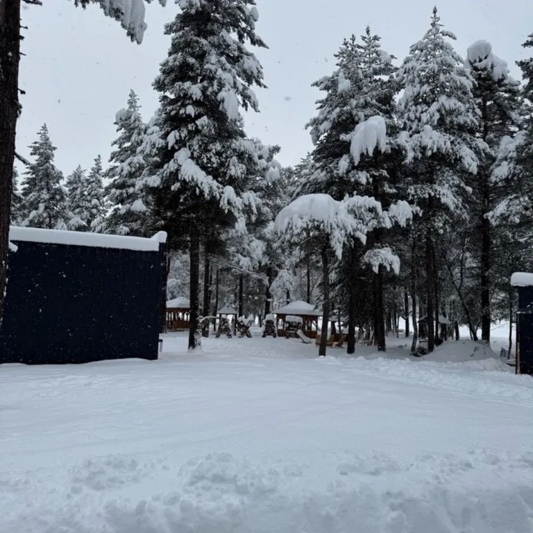 Коттедж Новый коттедж в лесу — Архыз