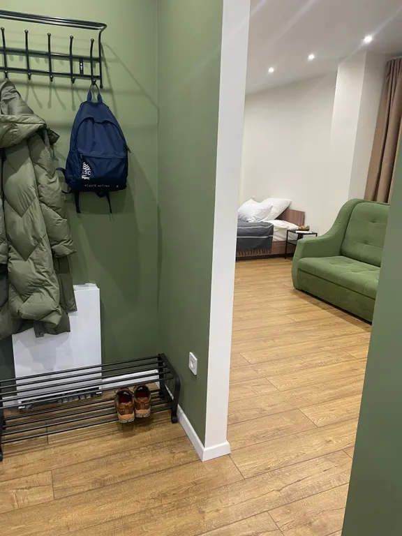 Студия с видом на стадион, парк