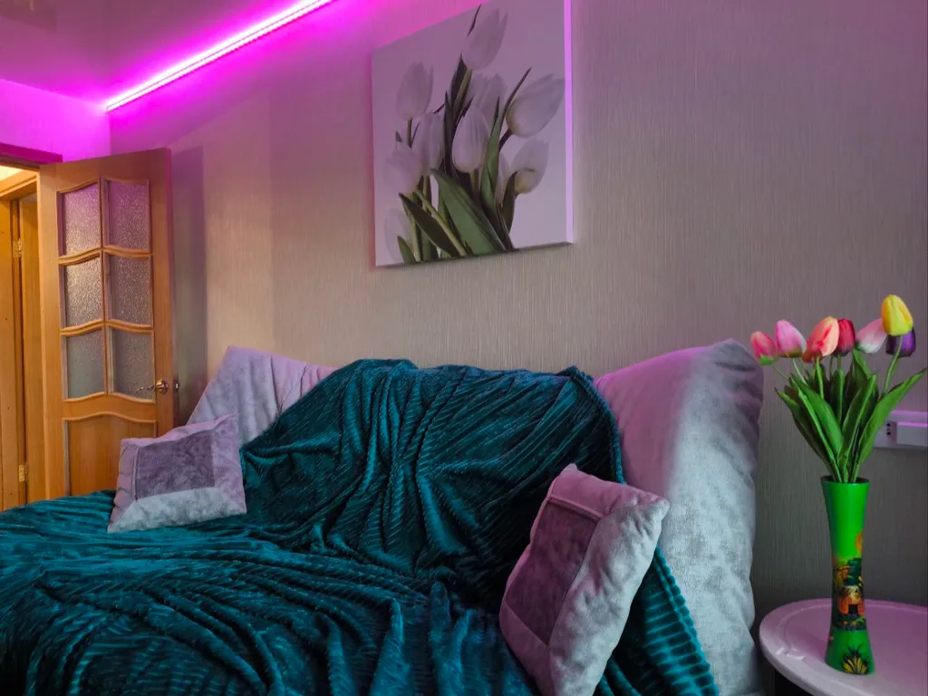 Уютная квартира на Камчатке в Елизово