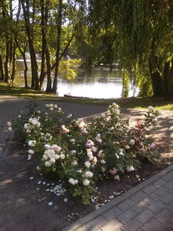Квартира Комната "вне времени" — Зеленоградск