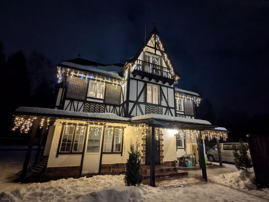 Большой красивый дом с камином в лесу