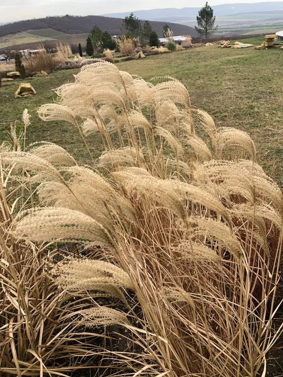 Квартира Комната — Анапа
