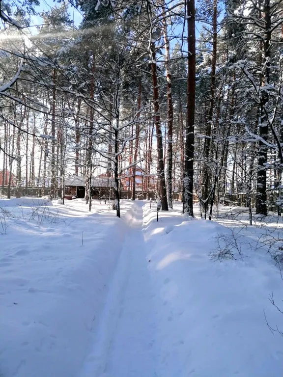 Уютный коттедж в сосновом лесу рядом с Москвой