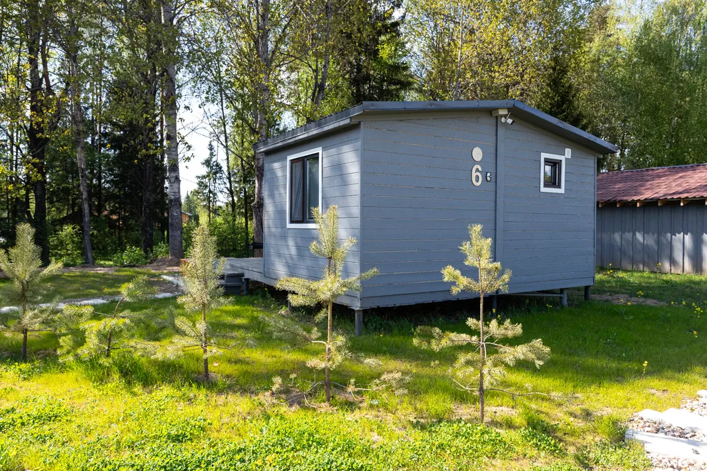 Дом с видом на лес