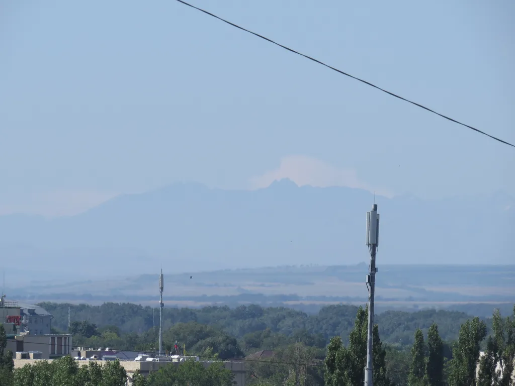 Просторная, светлая квартира в центре