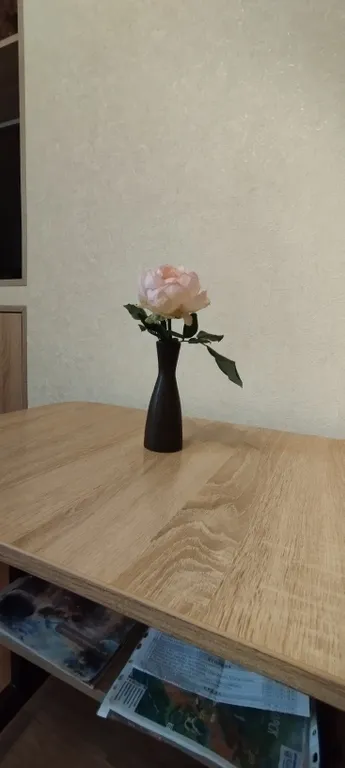 Уютная квартира в цветнике