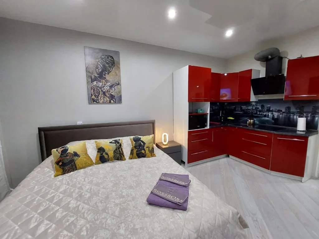 Квартира-студия Африка