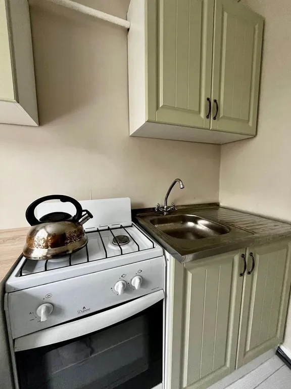 Однокомнатная квартира в тихом районе