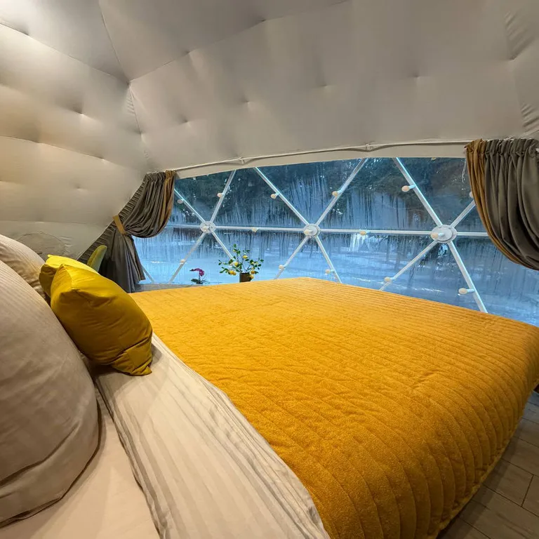 Сфера в сосновом лесу