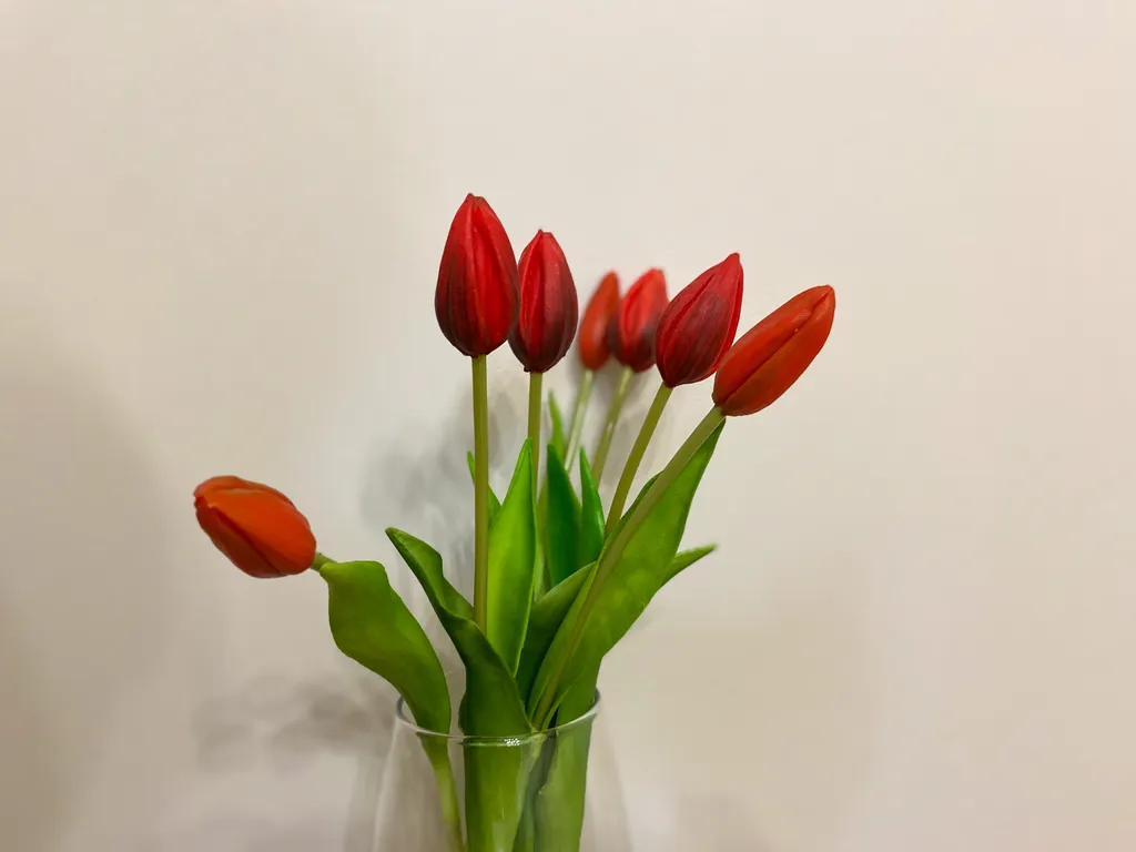 Квартира Квартира Лучшее предложение в центре города — Симферополь