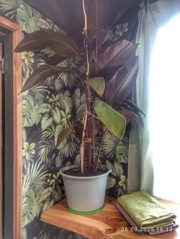 Коттедж Домик с характером — Белоозёрский