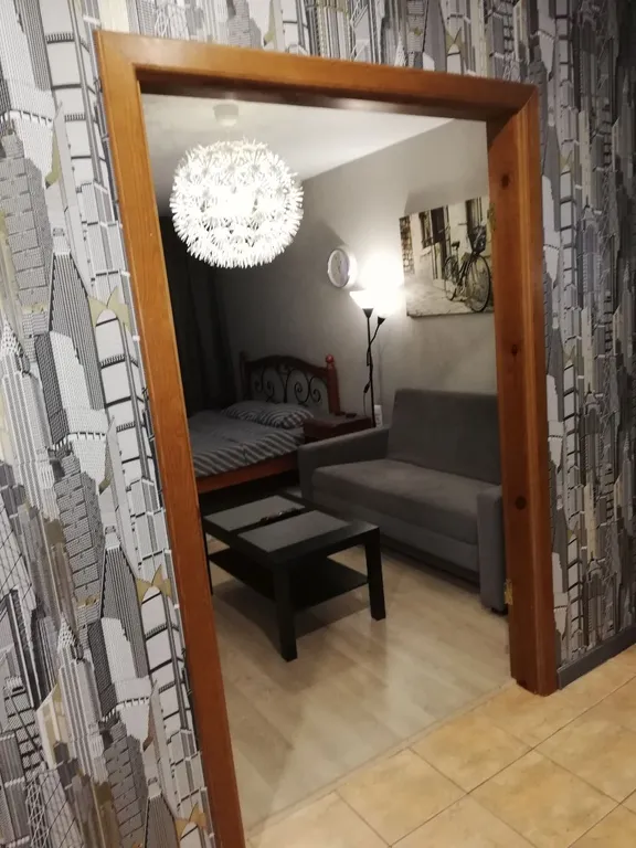 Однокомнатная квартира у Амфитеатра