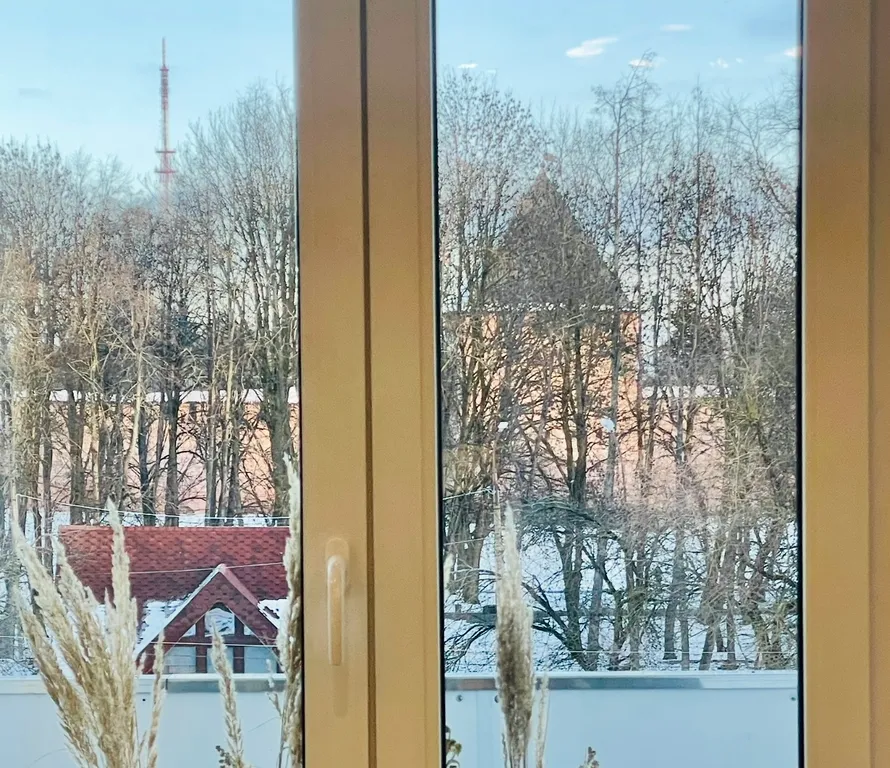 Апартаменты у стен Кремля