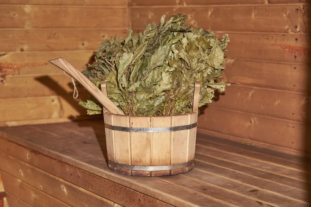 Winter country house and SPA